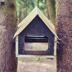 Bird feeder between two trees