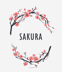 Sakura branch with flowers. Vector illustration © aksol