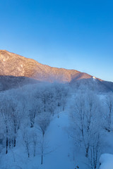 北海道冬の風景　富良野市の樹氷