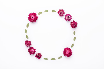 Flower composition. Eucalyptus leaves and dry flowers on white background. Flat lay. Top view. Copy space