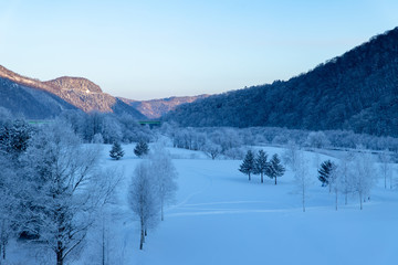 Fototapeta na wymiar 北海道冬の風景　富良野市の樹氷