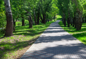 walking in the summer park at pedestrian path 