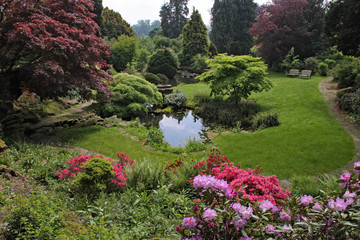 Lush trees and shrubs around a pond in an English country garden