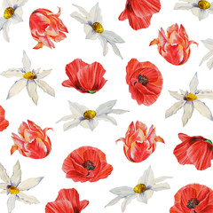 Fototapeta na wymiar Watercolor pattern with wild red poppies, tulips, white flowers. Designed for packaging, wallpaper, prints, textiles.