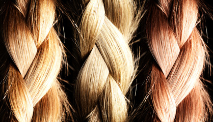Healthy, shiny hair is braided on a black background. Hair samples of different shades.