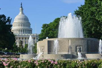 U.S. Capitol Building as seen from Upper Senate Park - Washington D.C. United States of America