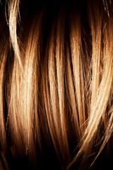 Healthy, shiny hair close-up. A sample of wheat-colored hair.
