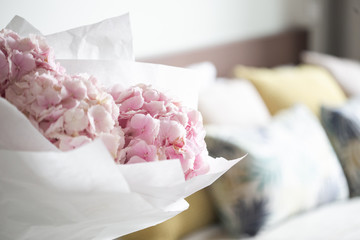 Light tender pink hydrangea bouquet, closeup photo