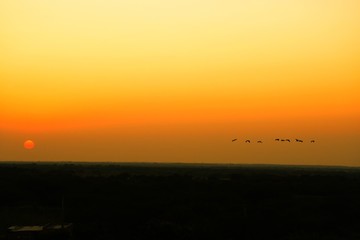 Sunrise in the morning at Kutch, Gujarat, India