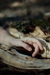 woman hand or hands in nature