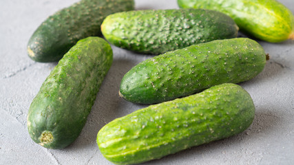 Fresh green ripe cucumbers on gray concrete background. Scattered cucumbers. Gherkins on the table close-up.