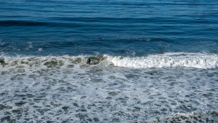 surfer in the sea and waves at San Luis Obispo, California