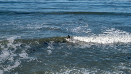 Obraz premium surfer in the sea and waves at San Luis Obispo, California