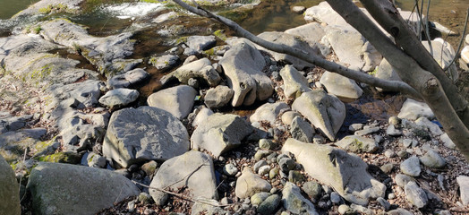 Fish shaped rock in a brook in jeju island