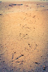 footprints in the sand
