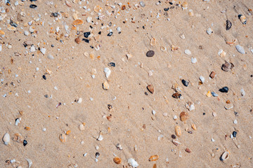 Copy space of sand beach texture abstract background.