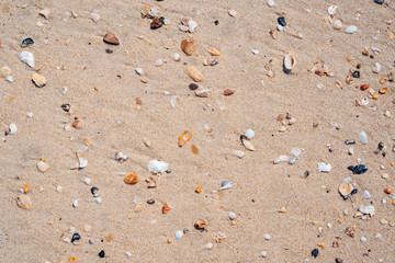 Copy space of sand beach texture abstract background.