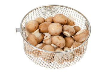Pile of brown royal champignons on white background