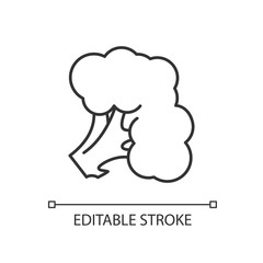 Broccoli pixel perfect linear icon. Fresh vegetable. Whole vitamin veggie. Harvest product. Thin line customizable illustration. Contour symbol. Vector isolated outline drawing. Editable stroke