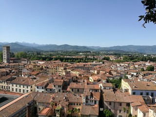 Fototapeta na wymiar Lucca Italy Toscana View 