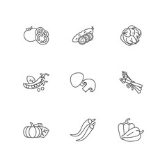 Veggie pixel perfect linear icons set. Sliced cucumber. Fresh tomato to prepare ketchup. Lettuce head. Customizable thin line contour symbols. Isolated vector outline illustrations. Editable stroke