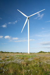 Fototapeta premium Wind turbine against a blue sky in a field of bog cotton