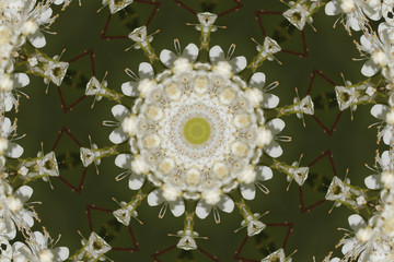 Kaleidoskop