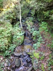 Brook Idyll Switzerland