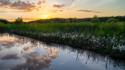 Sunset clouds reflected in the water with bog cotton along the banks of an Irish bog