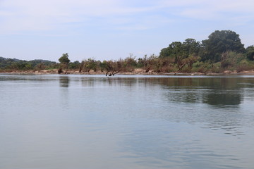 Fototapeta na wymiar Fleuve Mékong à Don Det, Laos
