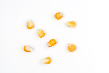 corn seeds close-up. sweet corn grains
