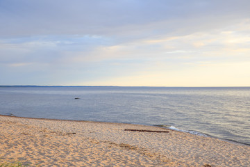 beach and sea in sunny weather