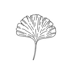 gingko leaf doodle icon