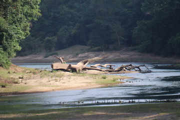 Fleuve à Kong Lor, Laos
