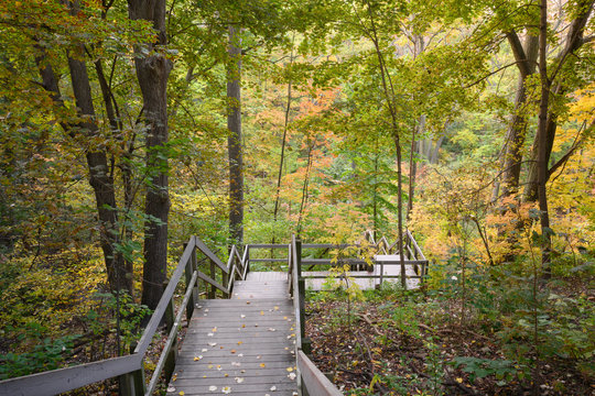 A stairway into Glen Stewart Ravine, accented by autumn colours, in the east end Beaches community of Toronto, Canada.