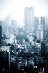 Naklejka na ściany i meble 東京都庁展望台から見える東京の街並み