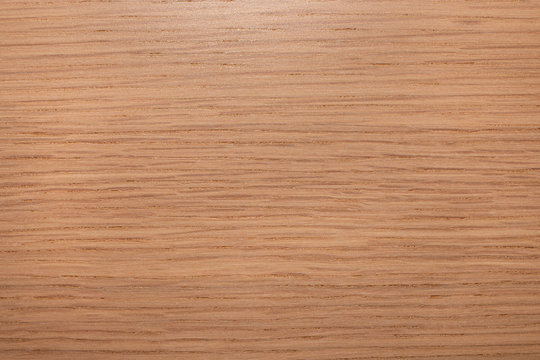 Light wood texture. Abstract wood texture background.
