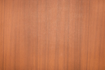 Light wood texture. Abstract wood texture background.