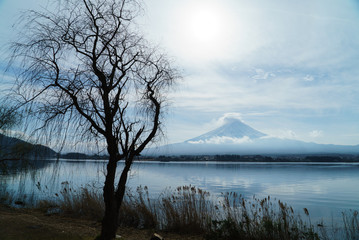 河口湖と富士山