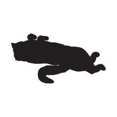 Cat black silhouette on white vector illustration