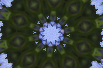 Kaleidoskop