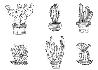 plants cacti drawing on white simple. doodle