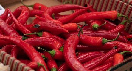 Red spicy chilli peppers in a cardboard box at a country market