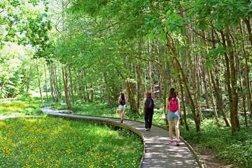 Walking and social distancing, in Newmillerdam Country Park, in May 2020.