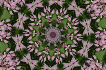 Kaleidoskop