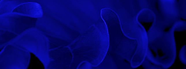 abstract background for web banners with phantom blue color. space for text. HD Image and Large Resolution. can be used as wallpaper