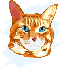 Pet Illustration Portrait Vector