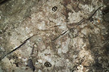 the texture of the cave or rocky cliffs are rugged with vignette background