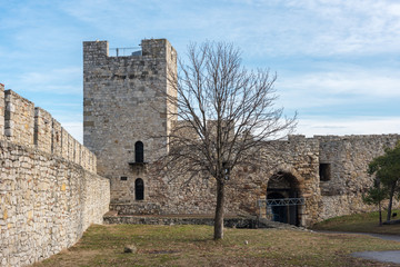 Fototapeta na wymiar Belgrade Fortress and Kalemegdan Park. Belgrade, Serbia. 