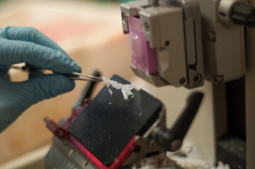 Fototapeta na wymiar corte de micras en microtomo de laboratorio de anatomía patológica